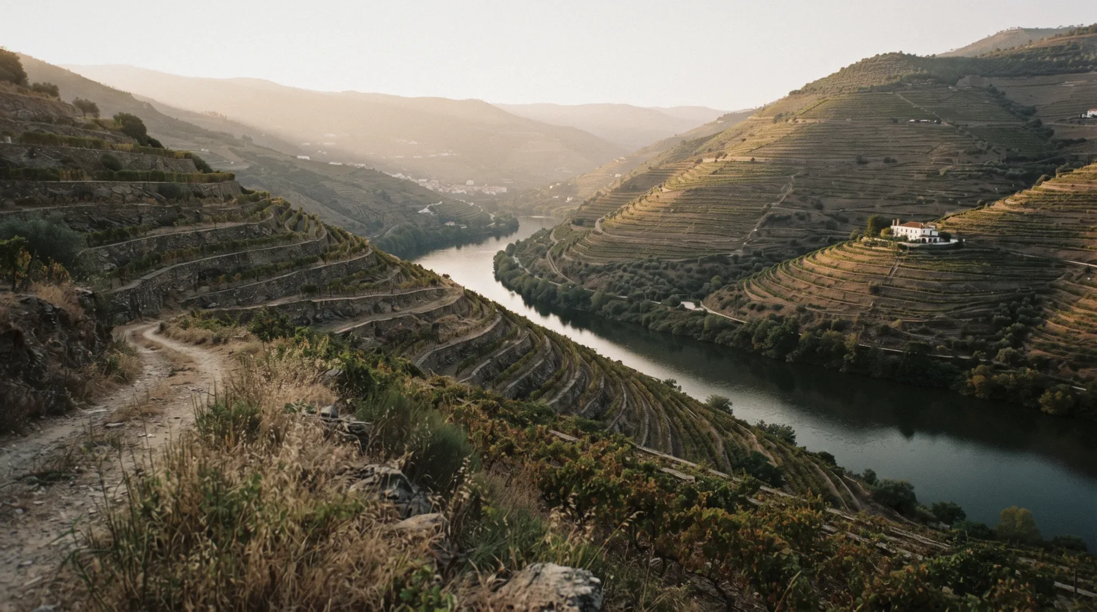 Terraced vineyards stepping down to the Douro river at Pinhão, the end of the line for a Porto to Douro Valley train day