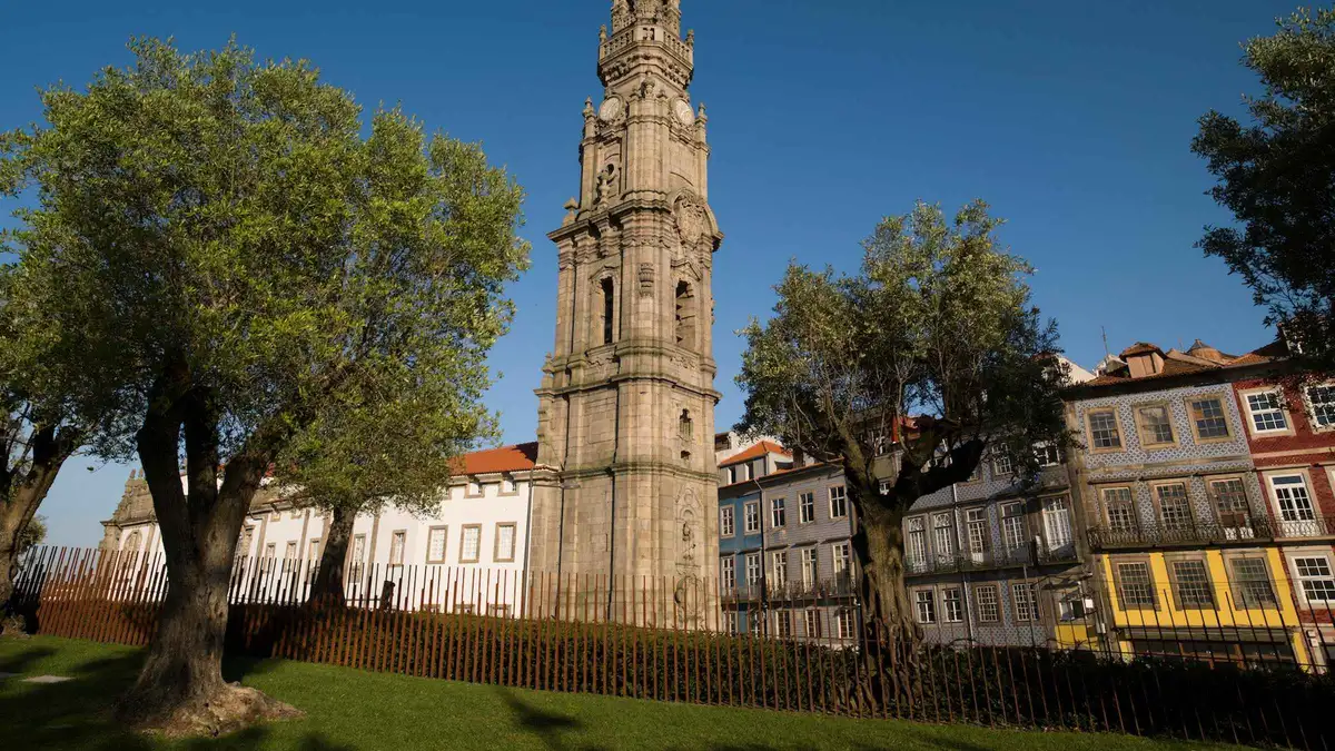 The baroque Clérigos Tower rising above a garden in Porto